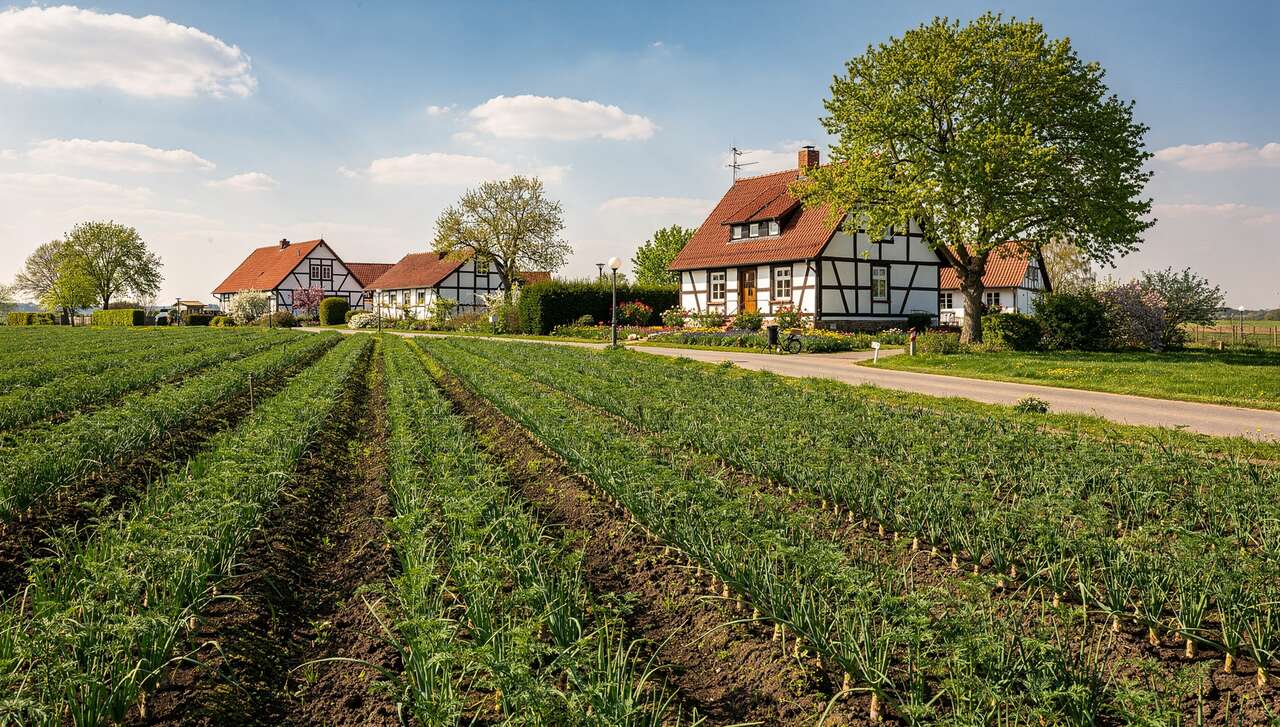 Route des asperges de Basse-Saxe : une escapade culinaire en Allemagne