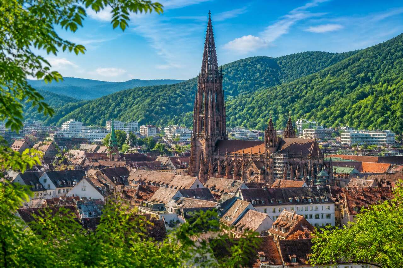 Découvrir Fribourg-en-Brisgau : culture et Patrimoine