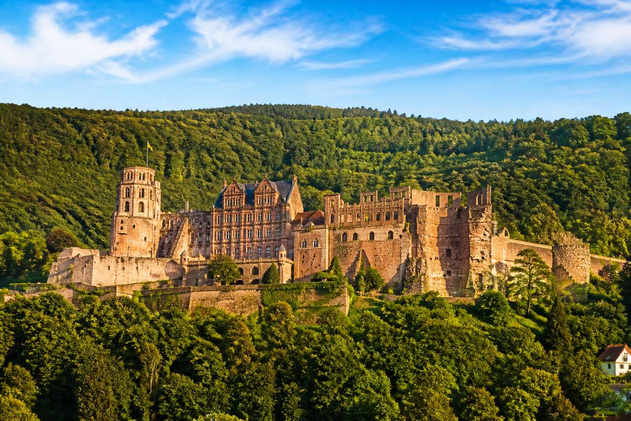 Château de Heidelberg : joyau historique à découvrir