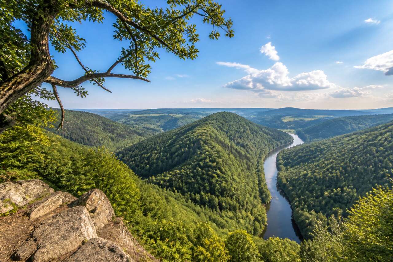 Réserve de biosphère du sud du Harz : un paradis naturel à découvrir