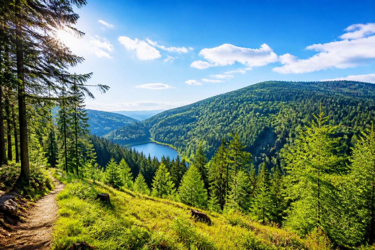 Parc national de la Forêt-Noire : nature et activités outdoor en Allemagne