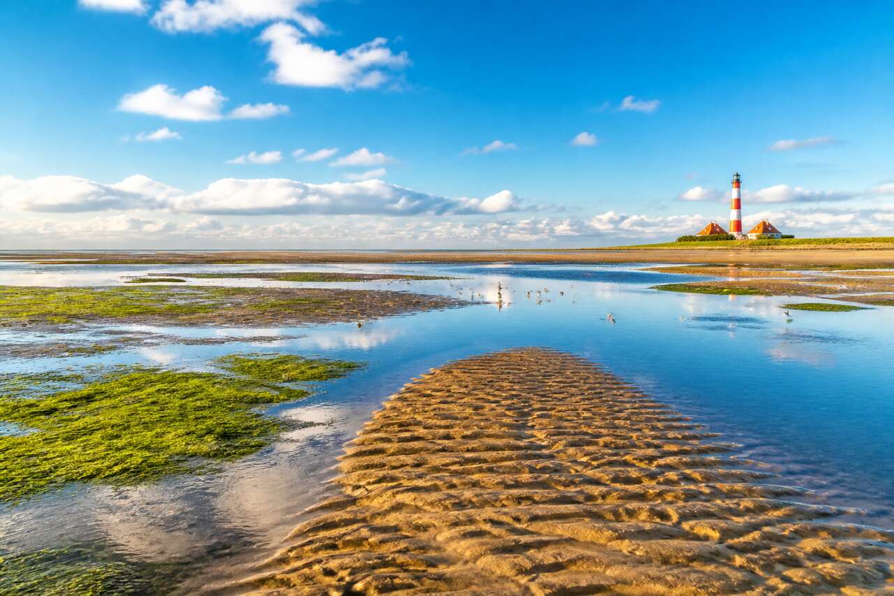 Explorer la mer des Wadden : nature et outdoor en Allemagne