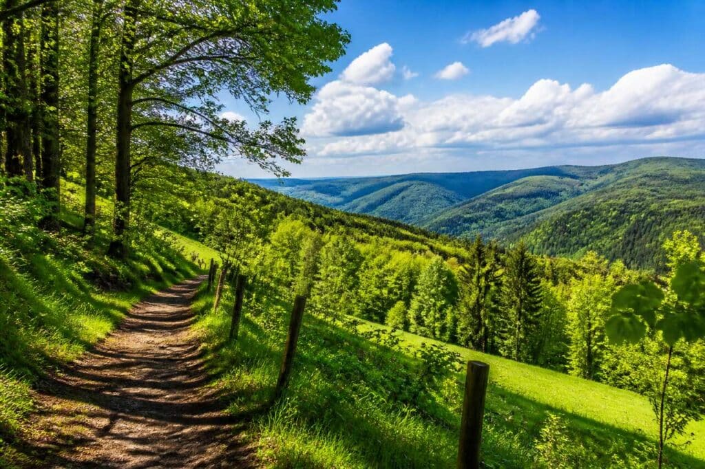 Randonnée Spessartweg 1 : explorez la nature de Bavière