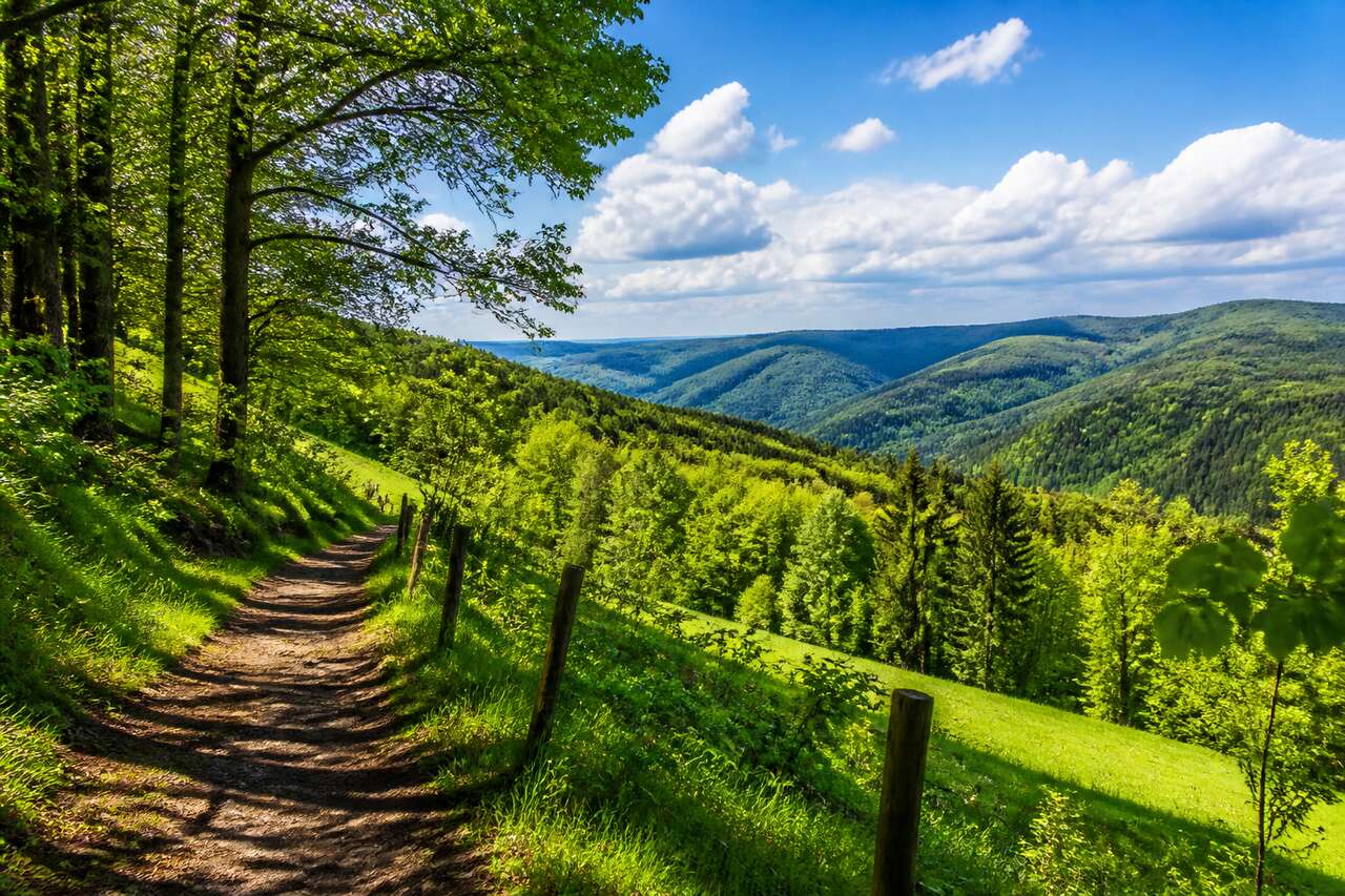 Randonnée Spessartweg 1 : explorez la nature de Bavière