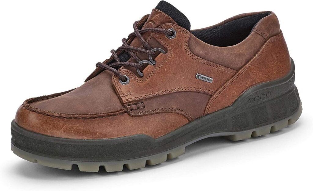 Test des chaussures ecco homme track 25 modèle bison taille 46