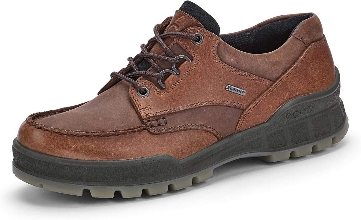 Test des chaussures ecco homme track 25 modèle bison taille 46