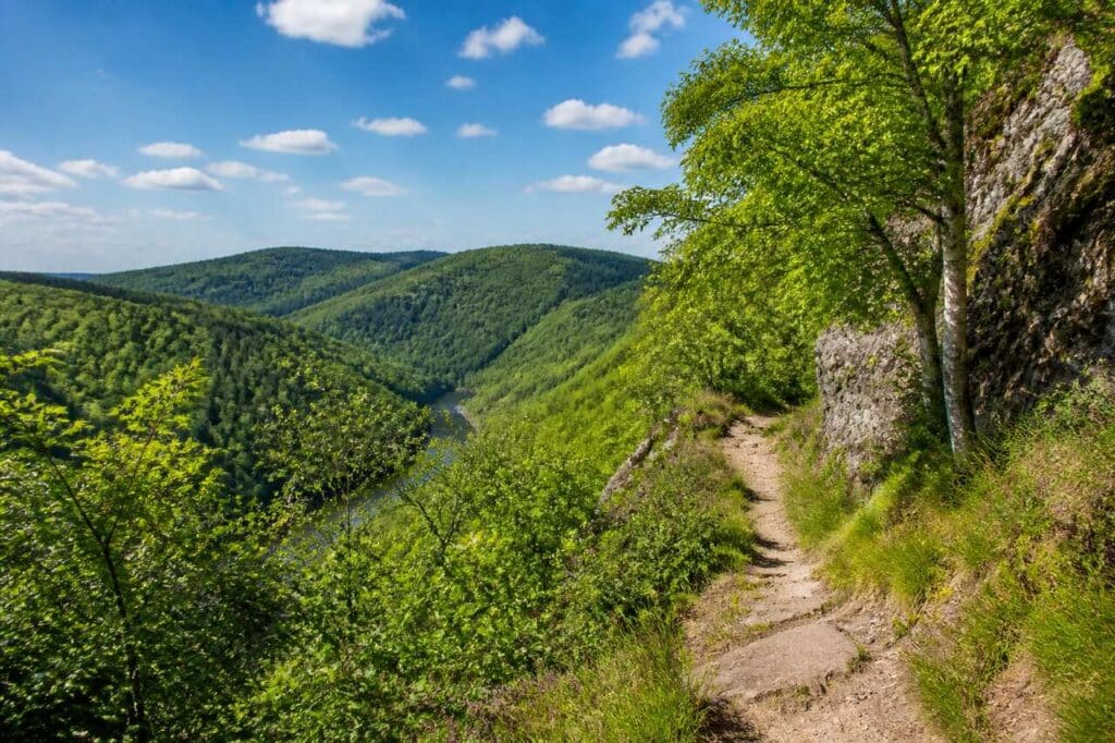 Randonnée sur le Wildnis Trail dans le parc national de l'Eifel